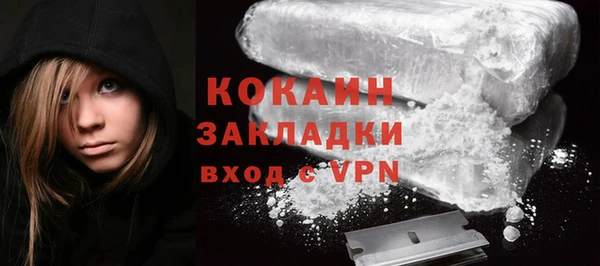 mdpv Богородицк