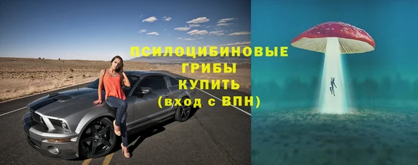 mdpv Богородицк