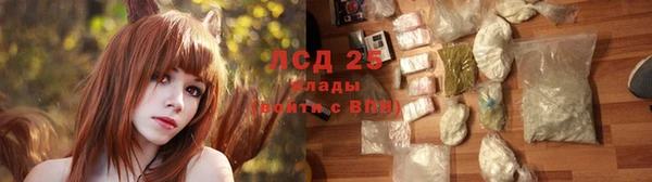 a pvp Белокуриха