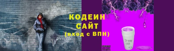 mdpv Богородицк