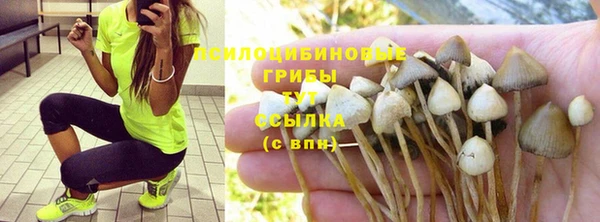 герыч Богданович